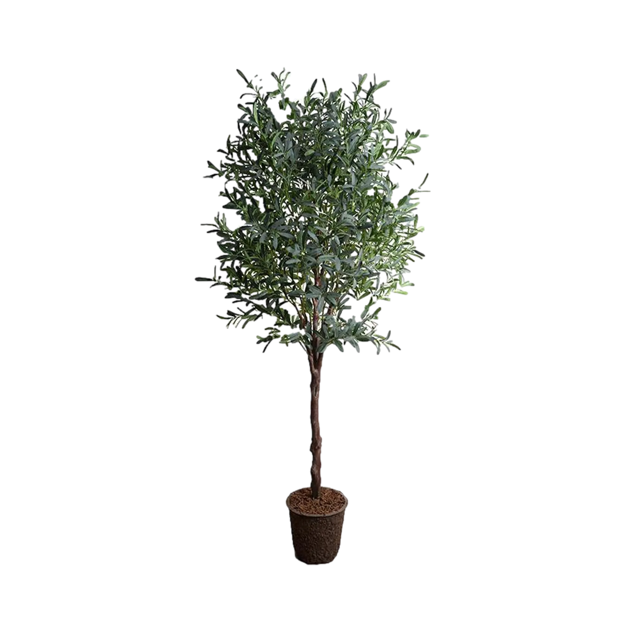 Faux Olive Tree